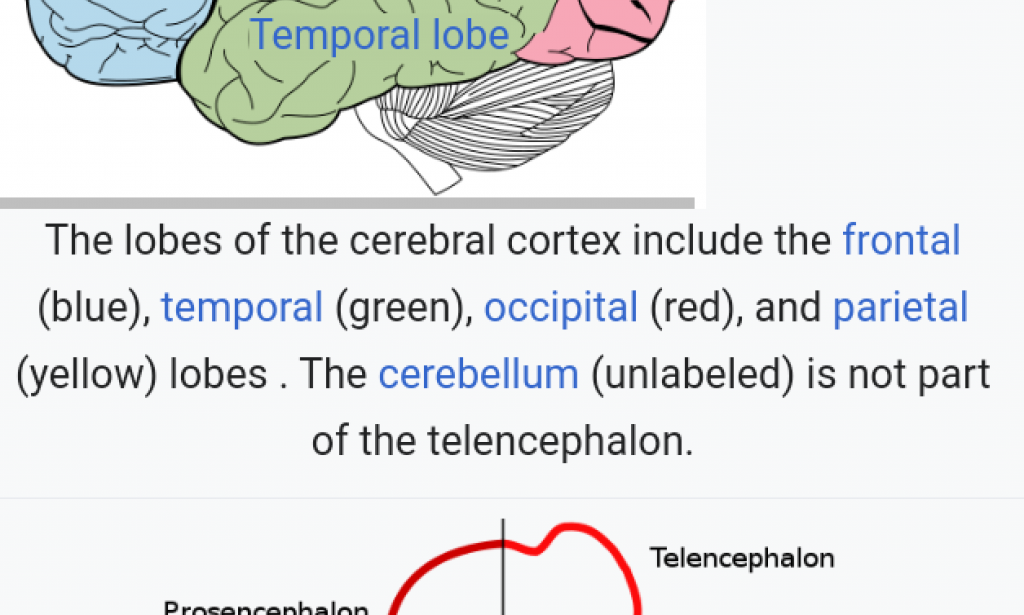 The reality of privacy and the undeniable possibilities of invasions. How far can they go