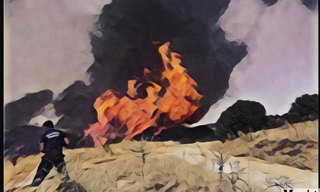 Environmental change: A story of regular fliers and bizarre power