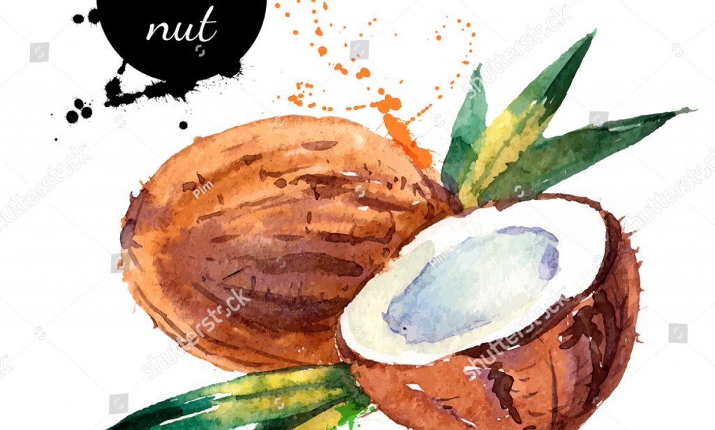 Which is better, coconut oil or argan oil? Which one should you opt for?