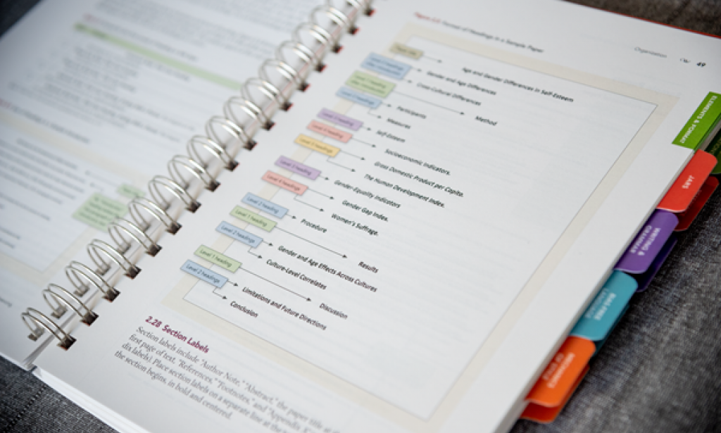 APA Publication Manual