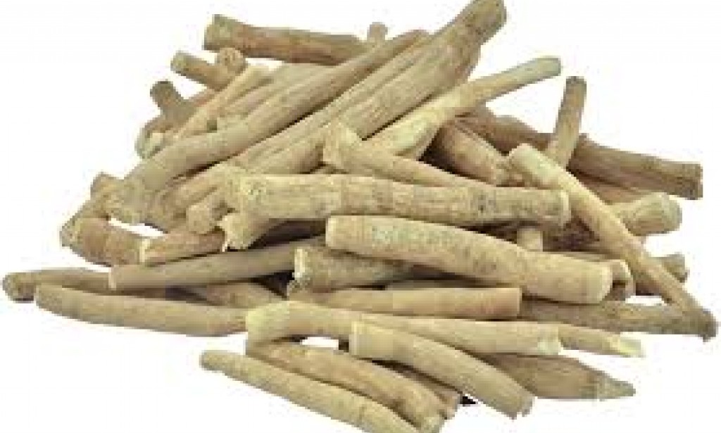 अश्वगंधा के क्या-क्या फायदे हैं