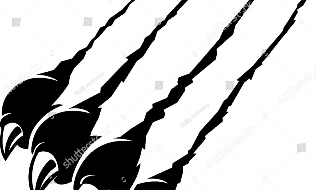 4 Things to Think About Before you Declawing your Cat