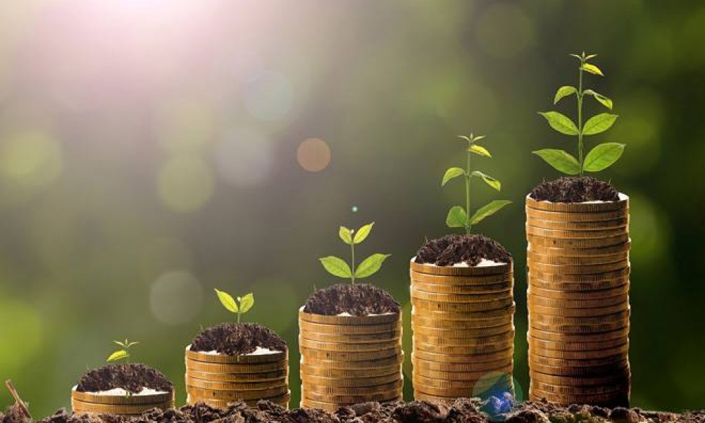 Top 10 most profitable business in india