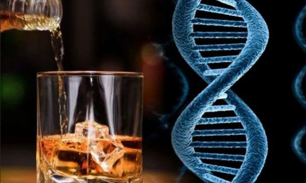 How alcohol affects the human DNA