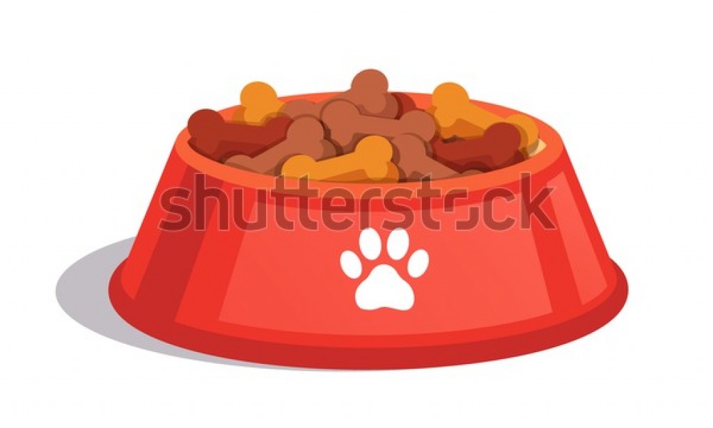 A Tale of Four Dog Foods: Finding the Best Chow for Your Hound