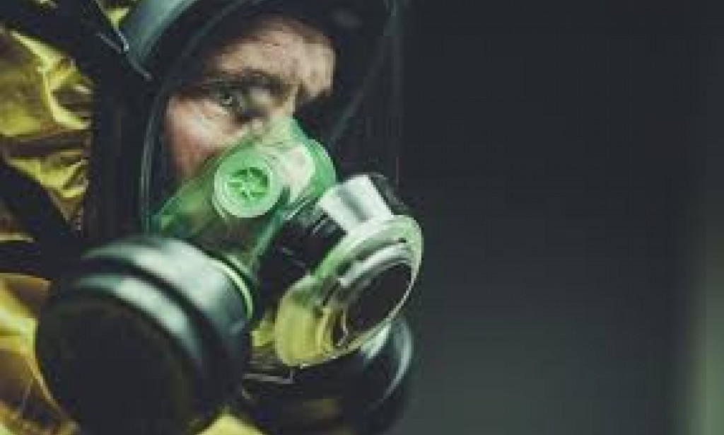 Where did the coronavirus come from?