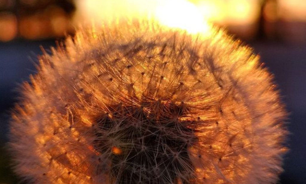 The Treasure Within You