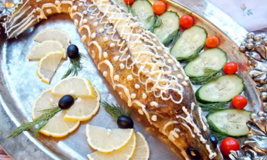 Stuffed pikeperch