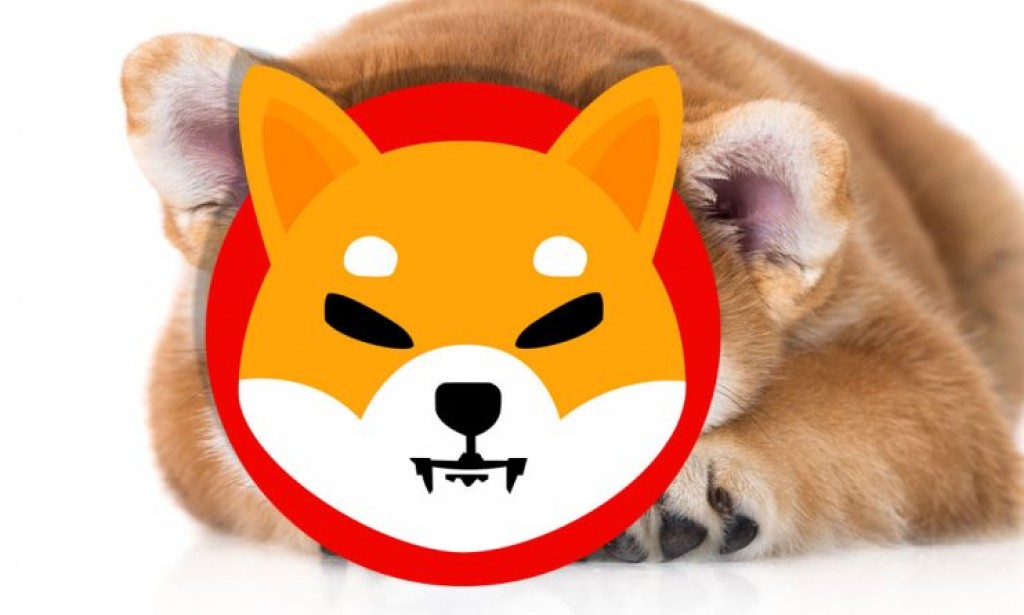 This Shiba Inu (SHIB) Price Terms Can Be US $ 1