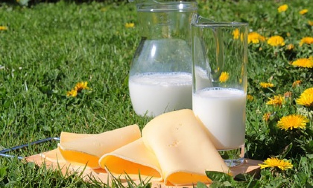Nutritionist dispels popular myths about dairy products