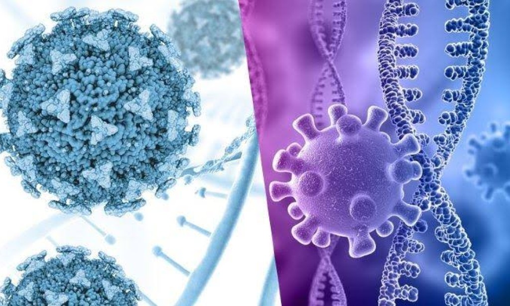 Omicron Variant Easier To Re-infect Covid-19 Survivors