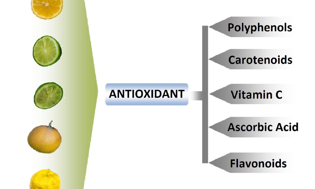 What Makes Citrus Fruits Essential for Your Body?