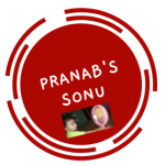Pranab Kr Ghosh