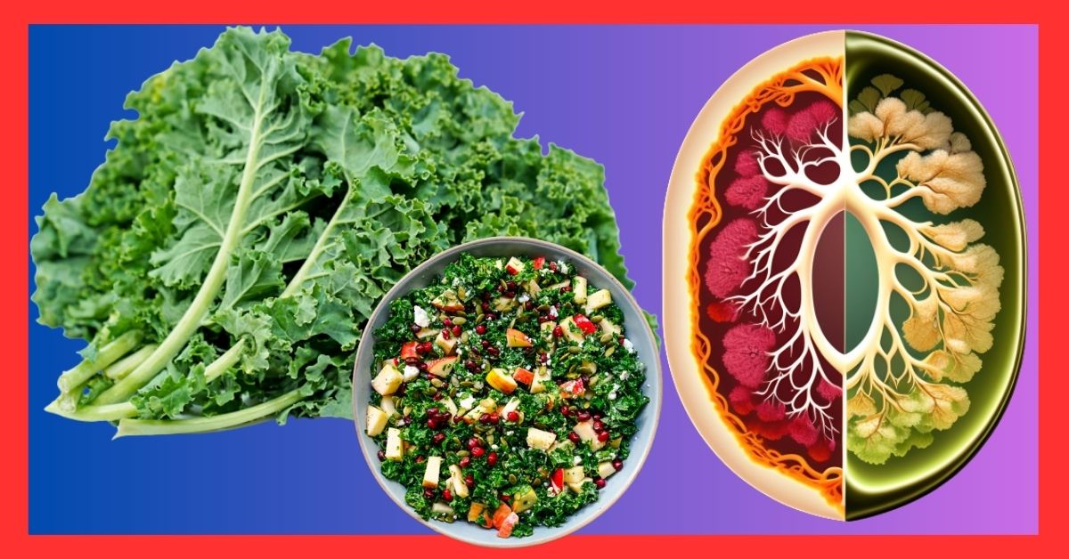 Kale for Belly Fat Loss