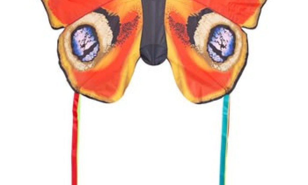 What are advantages and disadvantages of kite flying