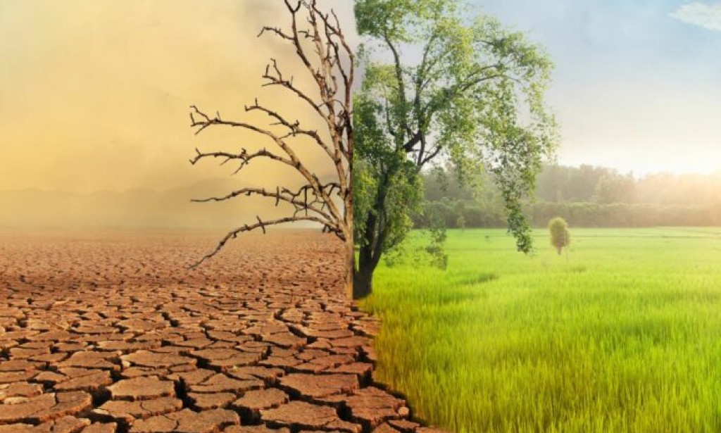 Effect of climate change on the world