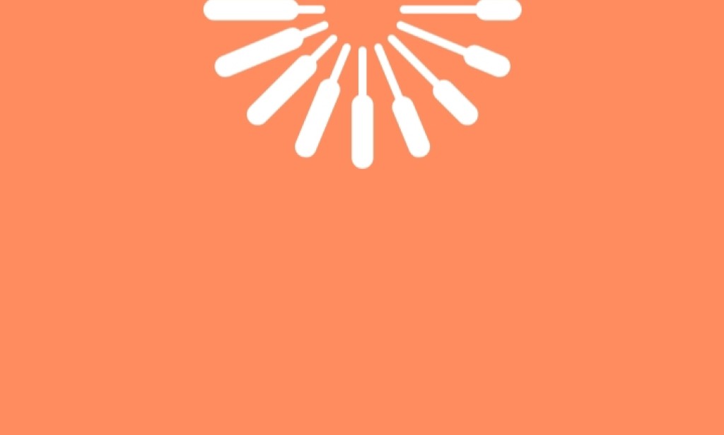 **Unlocking Opportunities: Exploring the Toloka Crowdsourcing Platform**