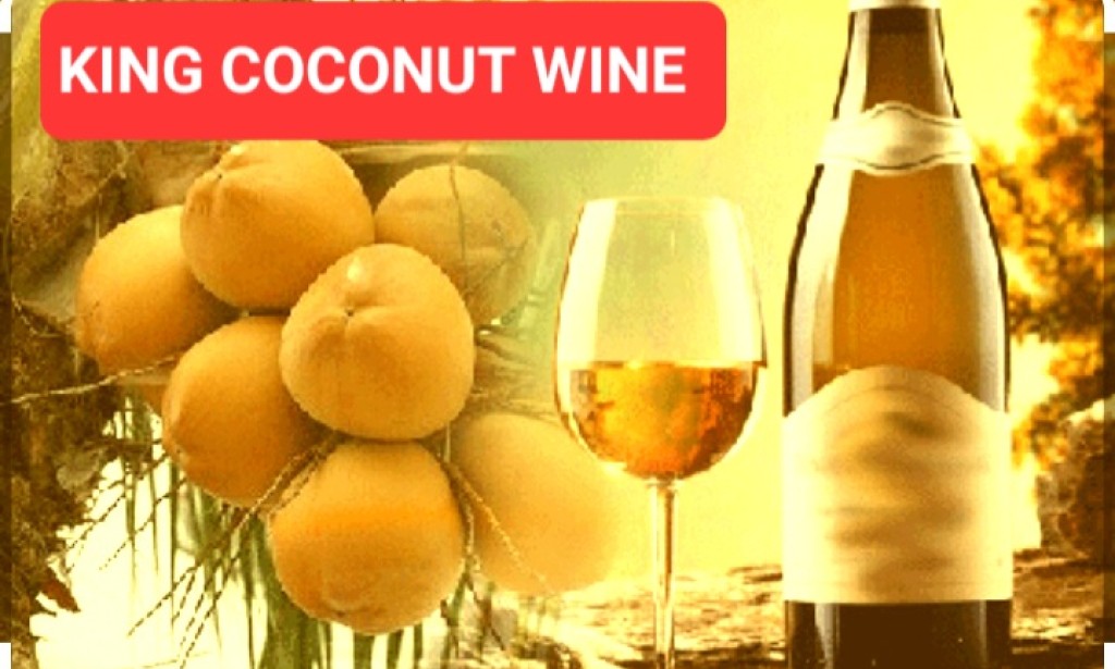 HEALTHY WINE FROM KING COCONUT