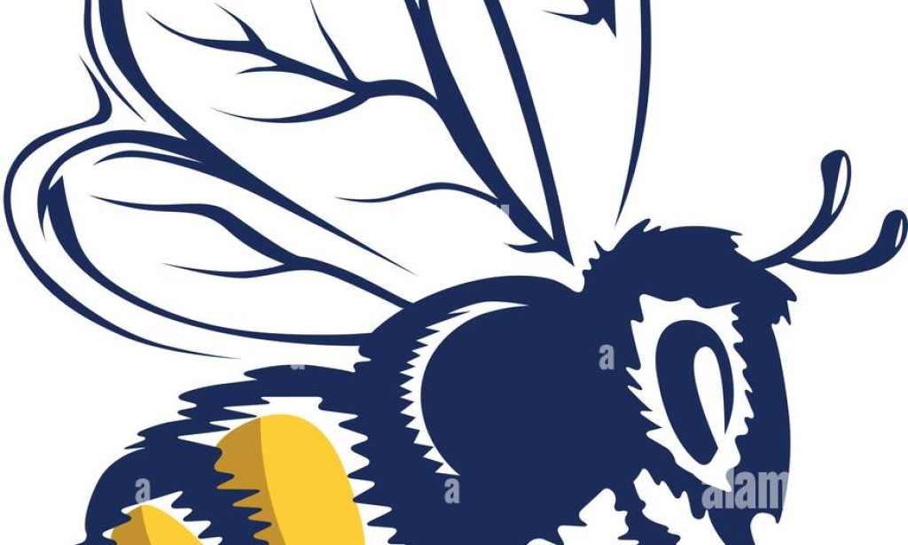 The Bee Sting Treatment with Possible Healing Effects