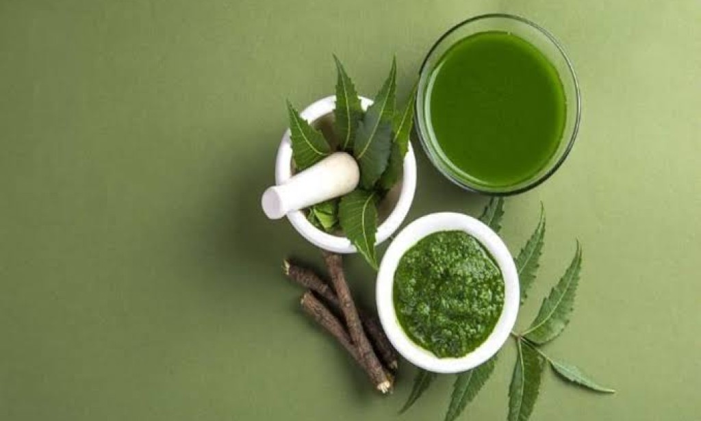 THE NEEM TREE (AZADIRACHTA INDICA)