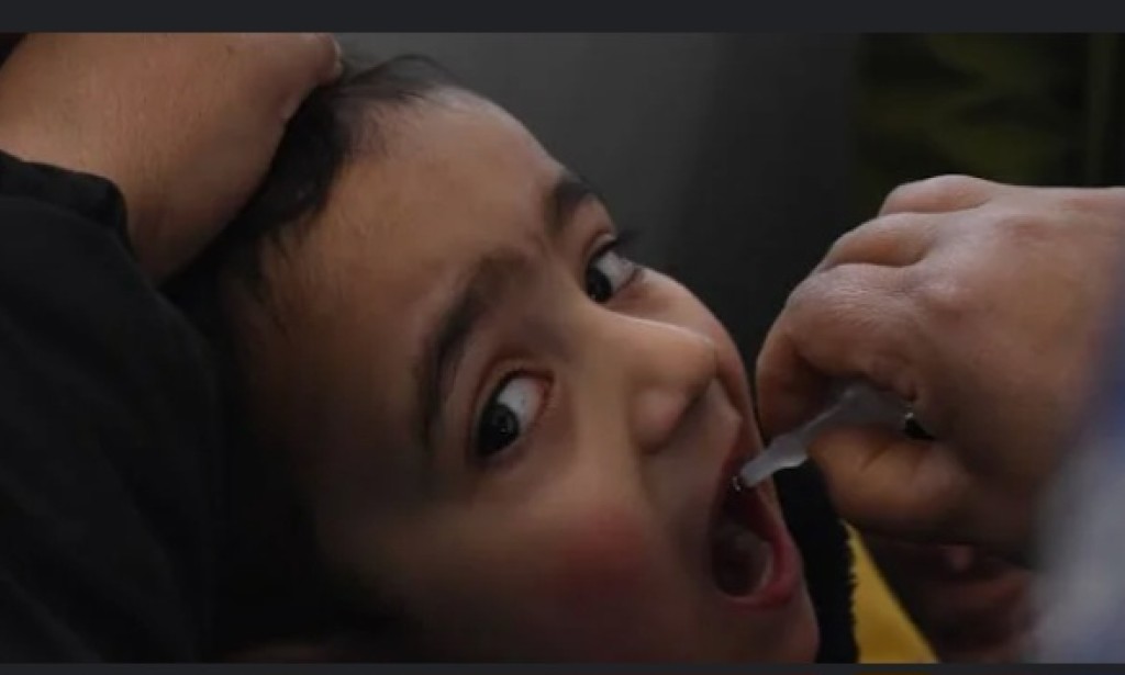 Vaccines caused 40 percent of the worldwide decline in infant mortality since 1974
