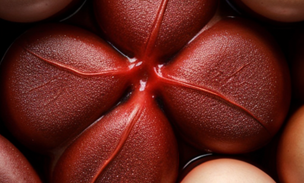 12 Weird Signs of Liver Damage You Need to Pay Attention