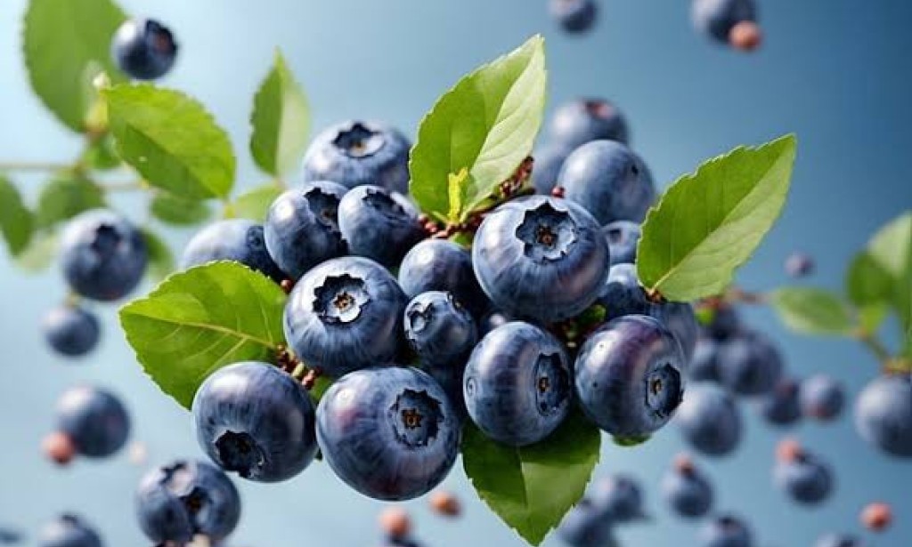 Top 5 Superfoods You Need to Add to Your Diet Today
