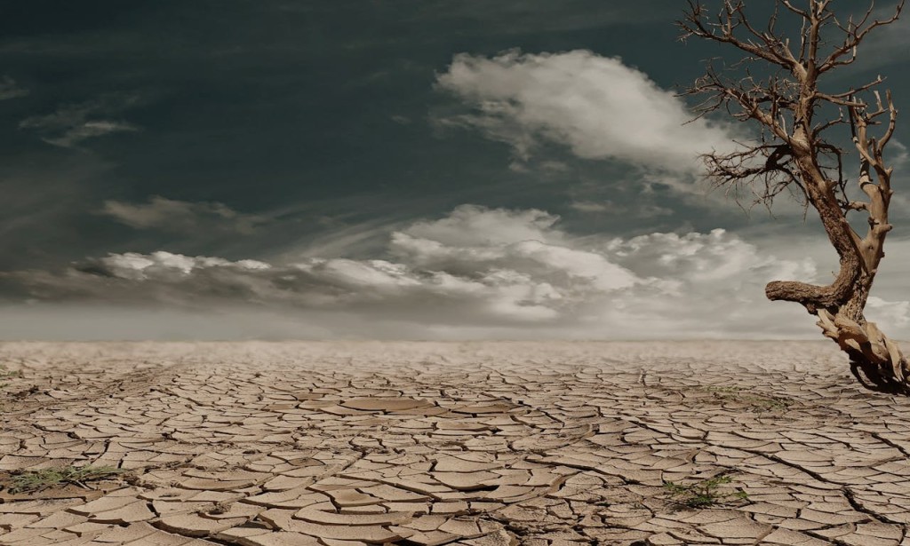 Climate Change: A Global Challenge